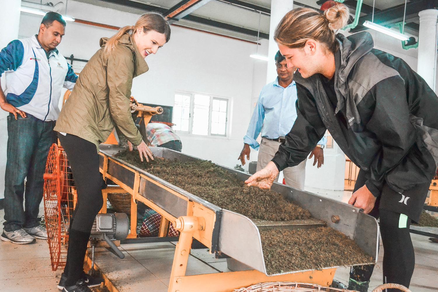 Tea And Experience Factory - Thema Collection Hotel Mandaran Newara Eksteriør billede